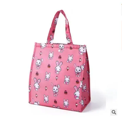 Portable Insulated Lunch Bag for Women & Kids