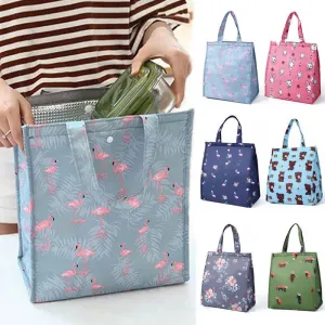 Portable Insulated Lunch Bag for Women & Kids